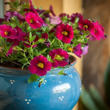 Landhuis Casa Peluaga