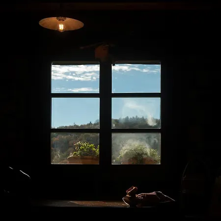 Casa Peluaga *