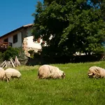 Casa Peluaga