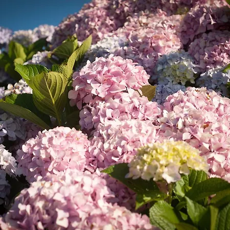 Casa Peluaga Casa rural