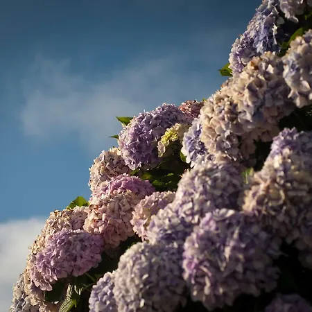 Casa Peluaga Casa rural *