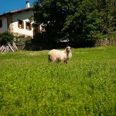 Casa Peluaga Летний дом