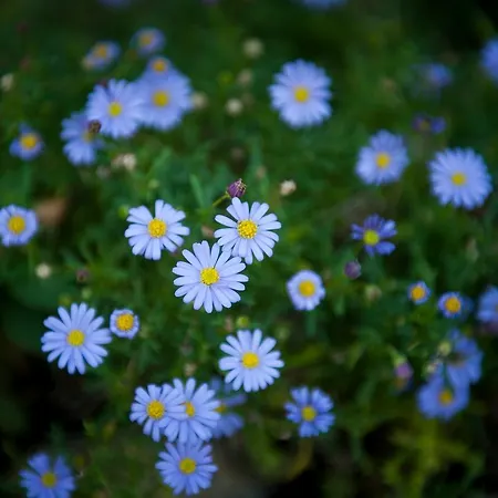 منزل ريفي Casa Peluaga *