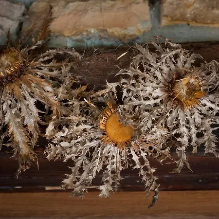 منزل ريفي Casa Peluaga *